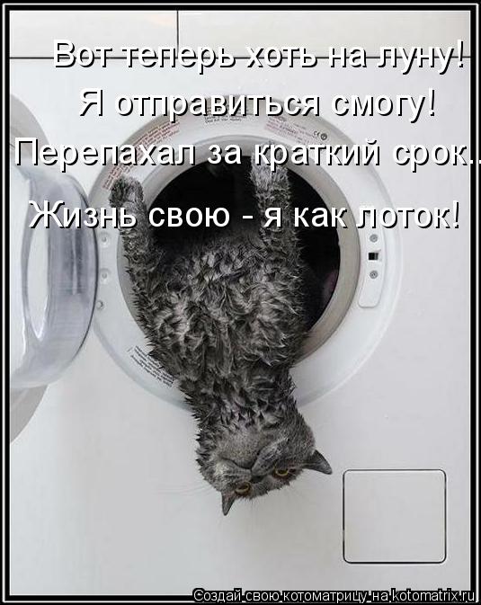 Вот теперь хоть на луну! Я отправиться смогу! Перепахал за краткий срок... Жизнь свою - я как лоток!... Котоматрица: Вот теперь хоть на луну! Я отправиться смогу! Перепахал за краткий срок... Жизнь свою - я как лоток!
