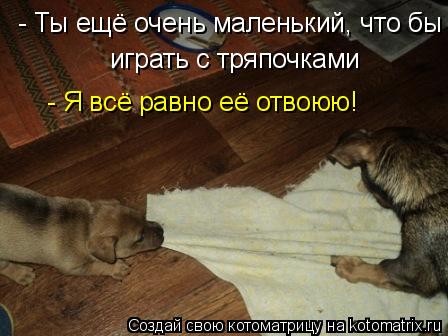 - Ты ещё очень маленький, что бы играть с тряпочками - Я всё равно её отвоюю!... Котоматрица: - Ты ещё очень маленький, что бы играть с тряпочками - Я всё равно её отвоюю!