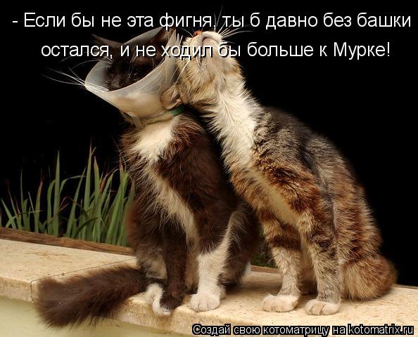 - Если бы не эта фигня, ты б давно без башки остался, и не ходил бы больше к Мурке!... Котоматрица: - Если бы не эта фигня, ты б давно без башки остался, и не ходил бы больше к Мурке!