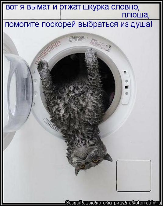 вот я вымат и отжат,шкурка словно, вот я вымат и отжат,шкурка словно, плюша, плюша, помогите поскорей... Котоматрица: вот я вымат и отжат,шкурка словно, вот я вымат и отжат,шкурка словно, плюша, плюша, помогите поскорей выбраться из душа!