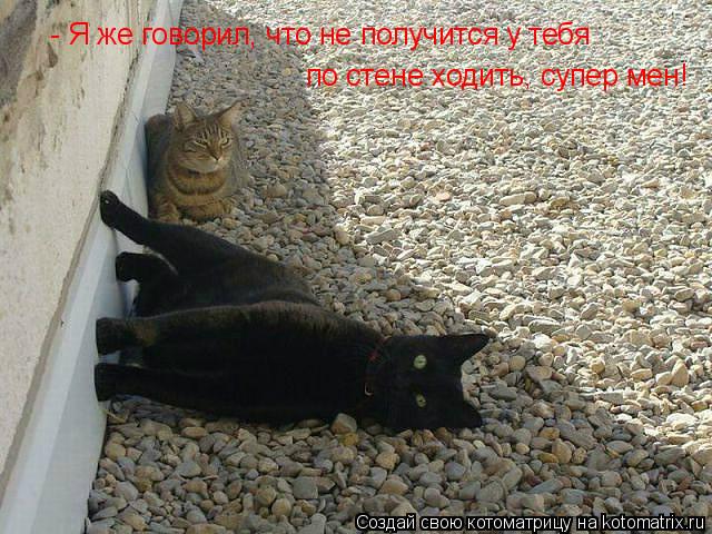 - Я же говорил, что не получится у тебя по стене ходить, супер мен!... Котоматрица: - Я же говорил, что не получится у тебя по стене ходить, супер мен!