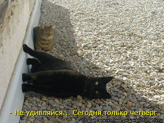 - Не удивляйся... Сегодня только четверг.... Котоматрица: - Не удивляйся... Сегодня только четверг.