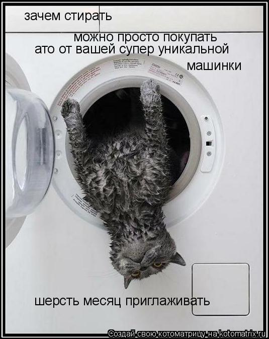зачем стирать можно просто покупать машинки ато от вашей супер уникальной шерсть месяц приглаживать... Котоматрица: зачем стирать можно просто покупать машинки ато от вашей супер уникальной шерсть месяц приглаживать