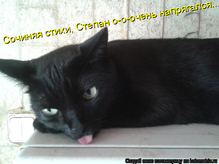 Сочиняя стихи, Степан о-о-очень напрягался...... Котоматрица: Сочиняя стихи, Степан о-о-очень напрягался...