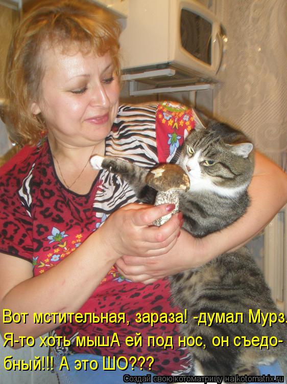 Вот мстительная, зараза! -думал Мурз... Я-то хоть мышА ей под нос, он съедо- бный!!! А это ШО???... Котоматрица: Вот мстительная, зараза! -думал Мурз... Я-то хоть мышА ей под нос, он съедо- бный!!! А это ШО???