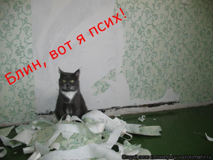 Блин, вот я псих!... Котоматрица: Блин, вот я псих!