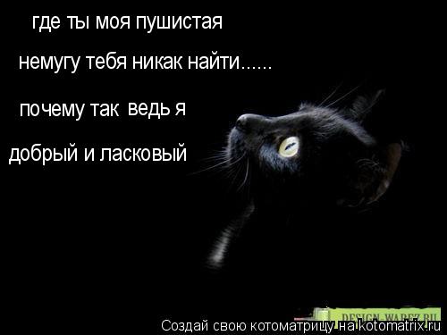 где ты моя пушистая немугу тебя никак найти...... почему так ведь я добрый и ласковый... Котоматрица: где ты моя пушистая немугу тебя никак найти...... почему так ведь я добрый и ласковый