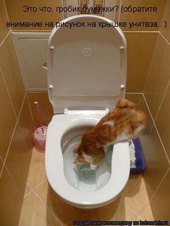 Котоматрица: Это что, гробик бумажки? (обратите  внимание на рисунок на крышке унитаза...) внимание на рисунок на крышке унитаза...)