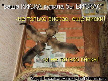 -не только вискас, ещё миски! "ваша КИСКА купила бы ВИСКАС" -и не только киска!... Котоматрица: -не только вискас, ещё миски! "ваша КИСКА купила бы ВИСКАС" -и не только киска!