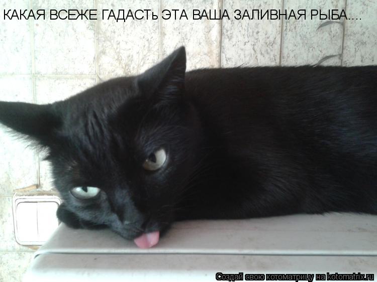 КАКАЯ ВСЕЖЕ ГАДАСТь ЭТА ВАША ЗАЛИВНАЯ РЫБА....... Котоматрица: КАКАЯ ВСЕЖЕ ГАДАСТь ЭТА ВАША ЗАЛИВНАЯ РЫБА....