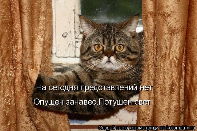На сегодня представлений нет. Опущен занавес.Потушен свет... Котоматрица: На сегодня представлений нет. Опущен занавес.Потушен свет
