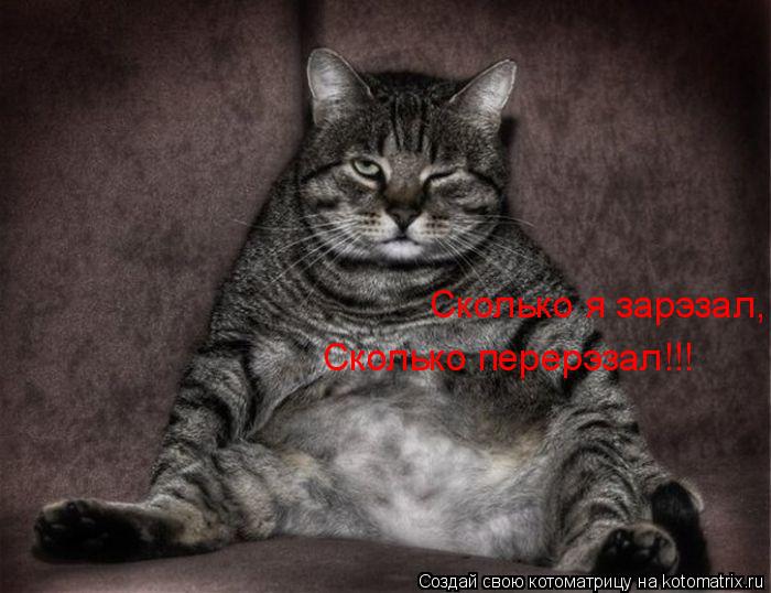 Сколько я зарэзал, Сколько перерэзал!!!... Котоматрица: Сколько я зарэзал, Сколько перерэзал!!!