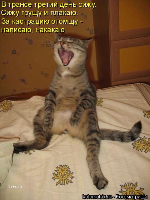 В трансе третий день сижу. Сижу грущу и плакаю. За кастрацию отомщу - написаю, накакаю... Котоматрица: В трансе третий день сижу. Сижу грущу и плакаю. За кастрацию отомщу - написаю, накакаю