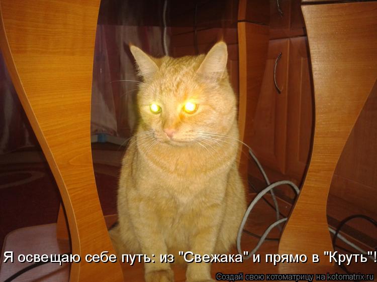 Я освещаю себе путь: из "Свежака" и прямо в "Круть"!... Котоматрица: Я освещаю себе путь: из "Свежака" и прямо в "Круть"!