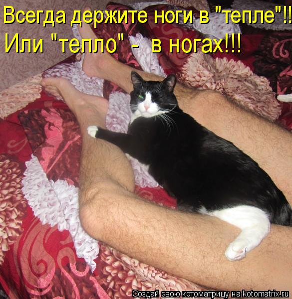 Или "тепло" - в ногах!!! Всегда держите ноги в "тепле"!!!... Котоматрица: Или "тепло" - в ногах!!! Всегда держите ноги в "тепле"!!!