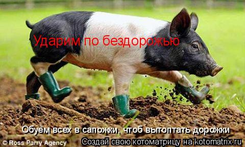 Обуем всех в сапожки, чтоб вытоптать дорожки Ударим по бездорожью... Котоматрица: Обуем всех в сапожки, чтоб вытоптать дорожки Ударим по бездорожью