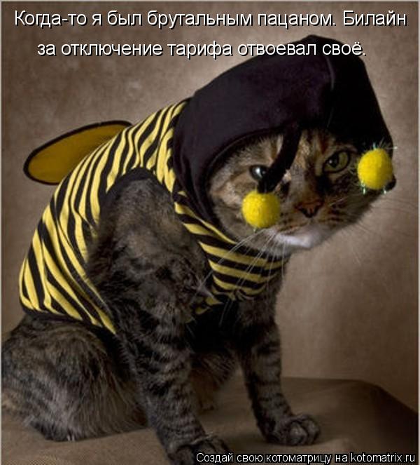Котоматрица: Когда-то я был брутальным пацаном. Билайн за отключение тарифа отвоевал своё.