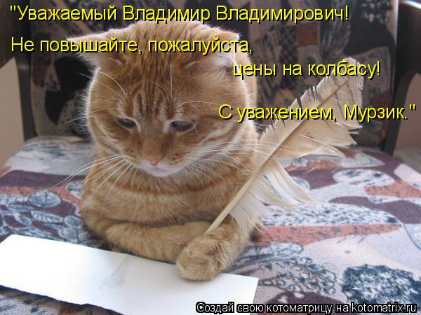 Котоматрица: ''Уважаемый Владимир Владимирович! Не повышайте, пожалуйста,  цены на колбасу! С уважением, Мурзик.''