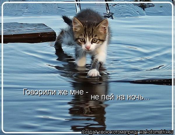 Говорили же мне - не пей на ночь...... Котоматрица: Говорили же мне - не пей на ночь...