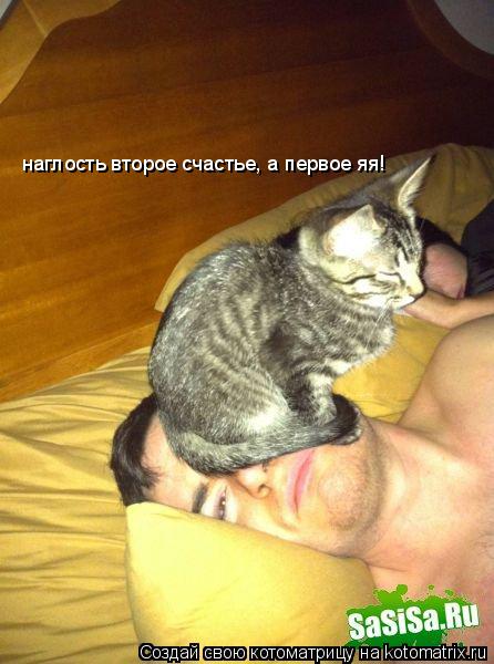 наглость второе счастье, а первое яя!... Котоматрица: наглость второе счастье, а первое яя!