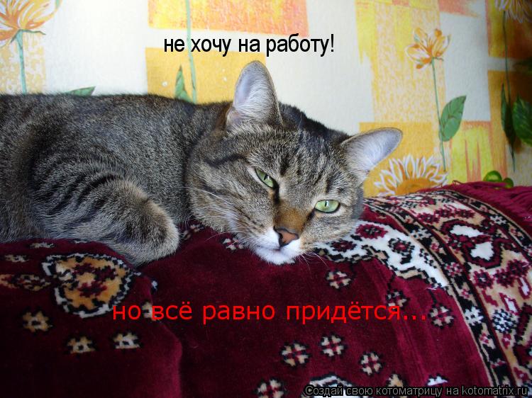 не хочу на работу! но всё равно придётся...... Котоматрица: не хочу на работу! но всё равно придётся...