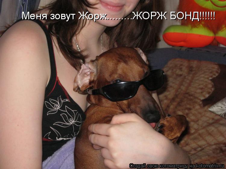 Меня зовут Жорж.........ЖОРЖ БОНД!!!!!!... Котоматрица: Меня зовут Жорж.........ЖОРЖ БОНД!!!!!!