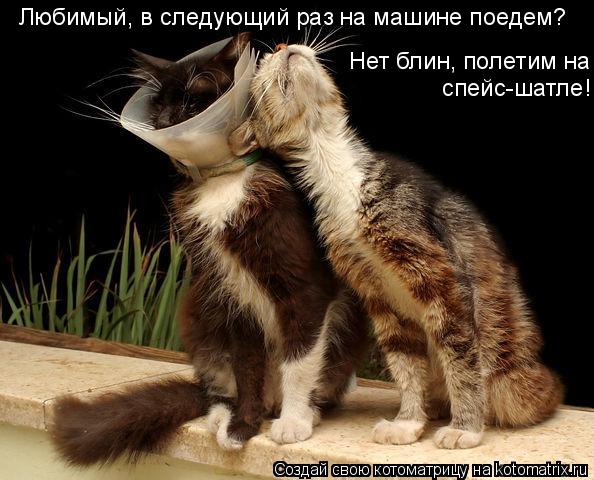 Нет блин, полетим на спейс-шатле! Любимый, в следующий раз на машине поедем?... Котоматрица: Нет блин, полетим на спейс-шатле! Любимый, в следующий раз на машине поедем?