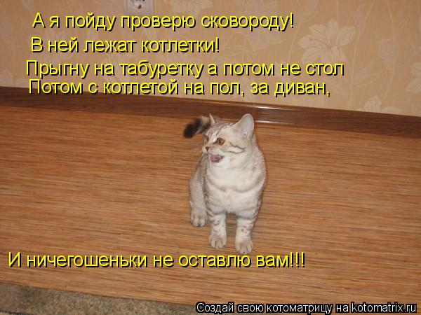 А я пойду проверю сковороду! В ней лежат котлетки! Прыгну на табуретку а потом не стол И ничегошеньки... Котоматрица: А я пойду проверю сковороду! В ней лежат котлетки! Прыгну на табуретку а потом не стол И ничегошеньки не оставлю вам!!! Потом с котлетой на по