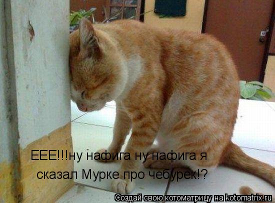ЕЕЕ!!!ну нафига ну нафига я сказал Мурке про чебурек!?... Котоматрица: ЕЕЕ!!!ну нафига ну нафига я сказал Мурке про чебурек!?