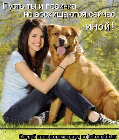 Пусть ты и певичка но восхищаются сейчас мной!... Котоматрица: Пусть ты и певичка но восхищаются сейчас мной!