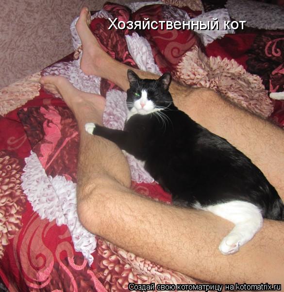 Хозяйственный кот... Котоматрица: Хозяйственный кот