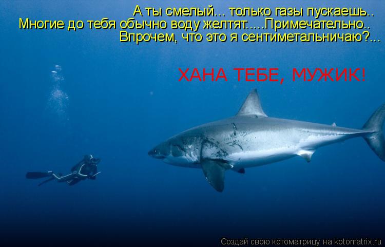 А ты смелый... только газы пускаешь.. Многие до тебя обычно воду желтят.....Примечательно.. Впрочем, ... Котоматрица: А ты смелый... только газы пускаешь.. Многие до тебя обычно воду желтят.....Примечательно.. Впрочем, что это я сентиметальничаю?... ХАНА ТЕБЕ, МУЖ