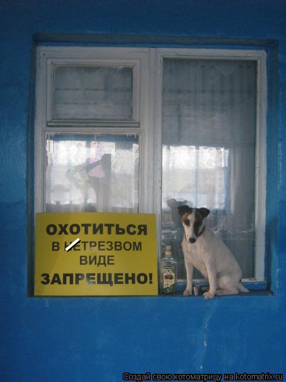 _... Котоматрица: _