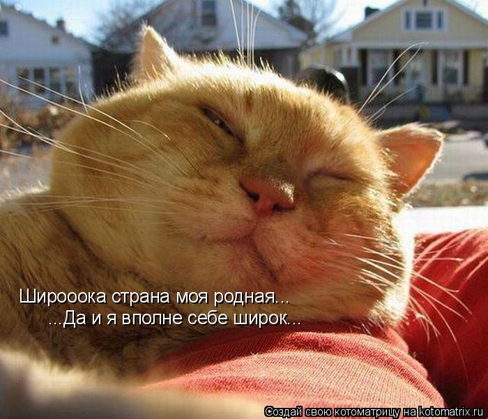 Широоока страна моя родная... ...Да и я вполне себе широк...... Котоматрица: Широоока страна моя родная... ...Да и я вполне себе широк...