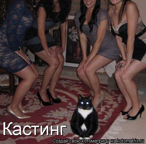 Кастинг... Котоматрица: Кастинг