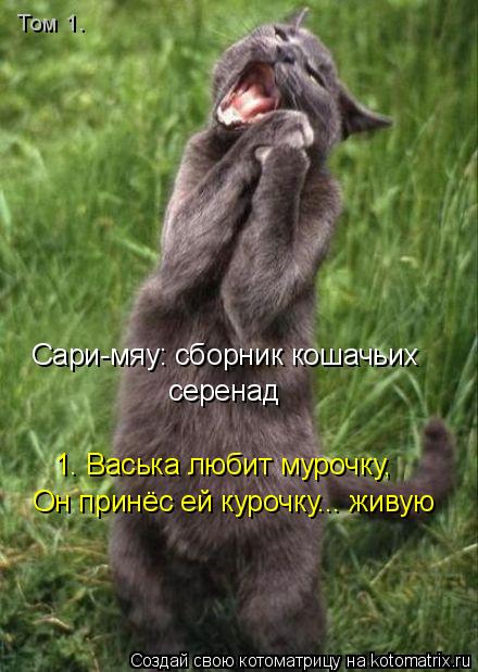 Сари-мяу: сборник кошачьих серенад 1. Васька любит мурочку, Он принёс ей курочку... живую Том 1.... Котоматрица: Сари-мяу: сборник кошачьих серенад 1. Васька любит мурочку, Он принёс ей курочку... живую Том 1.