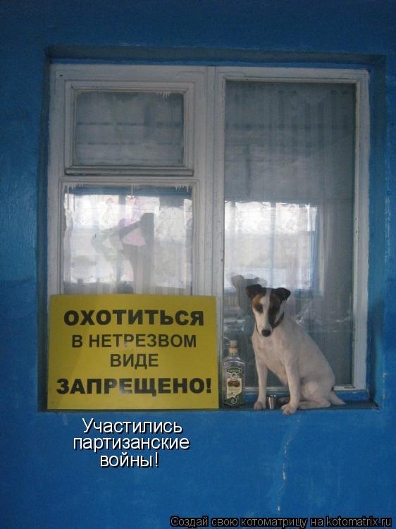 Участились партизанские войны!... Котоматрица: Участились партизанские войны!