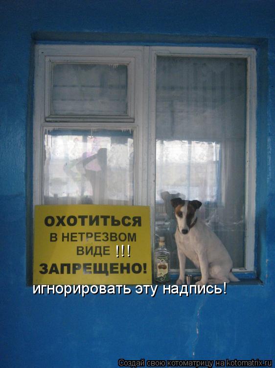 ! игнорировать эту надпись! ! !... Котоматрица: ! игнорировать эту надпись! ! !