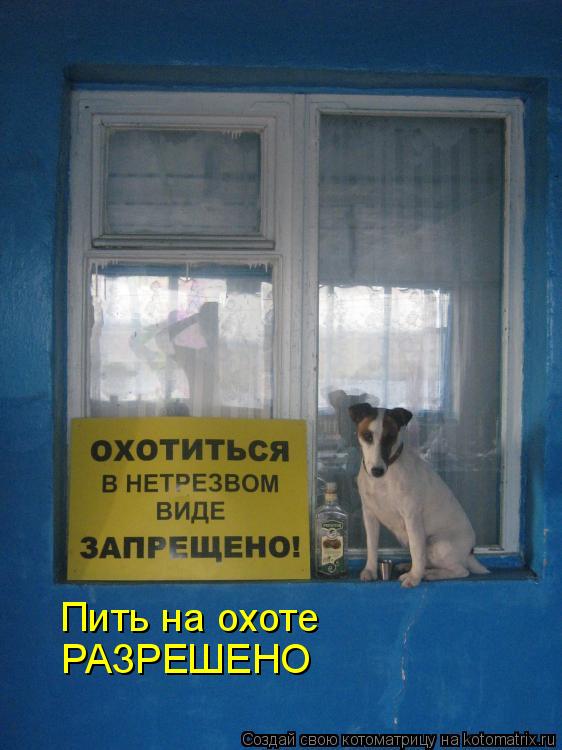 Пить на охоте РАЗРЕШЕНО... Котоматрица: Пить на охоте РАЗРЕШЕНО