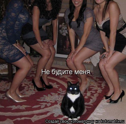 Не будите меня..... Котоматрица: Не будите меня..