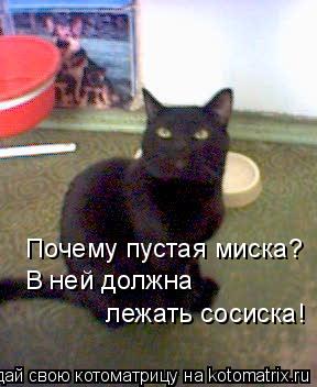Почему пустая миска? В ней должна лежать сосиска!... Котоматрица: Почему пустая миска? В ней должна лежать сосиска!