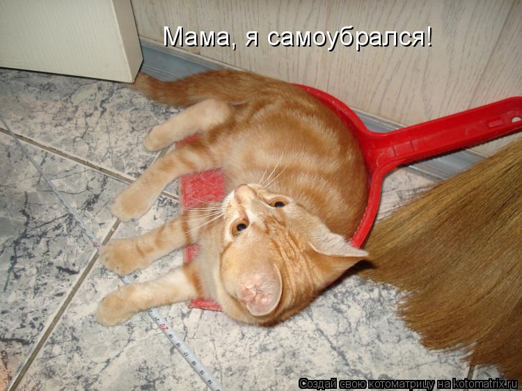 Мама, я самоубрался!... Котоматрица: Мама, я самоубрался!