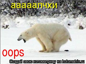 ааааапчхи oops... Котоматрица: ааааапчхи oops