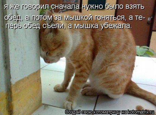 я же говорил сначала нужно было взять обед, а потом за мышкой гоняться, а те- перь обед съели, а мышк... Котоматрица: я же говорил сначала нужно было взять обед, а потом за мышкой гоняться, а те- перь обед съели, а мышка убежала.