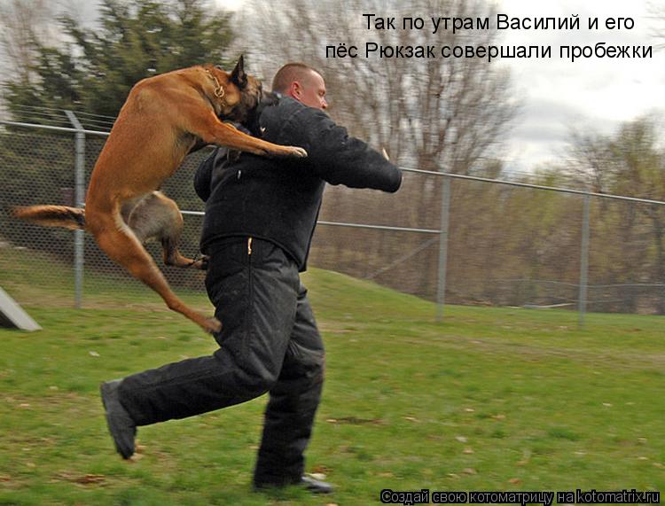 Так по утрам Василий и его пёс Рюкзак совершали пробежки... Котоматрица: Так по утрам Василий и его пёс Рюкзак совершали пробежки