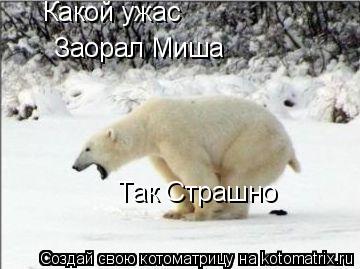 Какой ужас Заорал Миша Так Страшно... Котоматрица: Какой ужас Заорал Миша Так Страшно