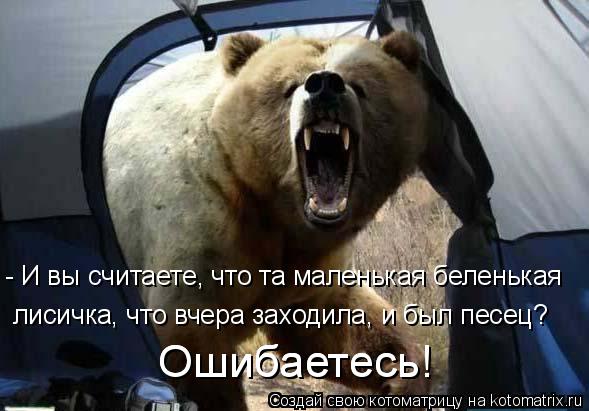 - И вы считаете, что та маленькая беленькая лисичка, что вчера заходила, и был песец? Ошибаетесь! Оши... Котоматрица: - И вы считаете, что та маленькая беленькая лисичка, что вчера заходила, и был песец? Ошибаетесь! Ошибаетесь!