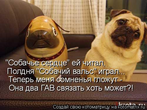 "Собачье сердце" ей читал, Полдня "Собачий вальс" играл... Теперь меня сомненья гложут - Она два ГАВ ... Котоматрица: "Собачье сердце" ей читал, Полдня "Собачий вальс" играл... Теперь меня сомненья гложут - Она два ГАВ связать хоть может?!