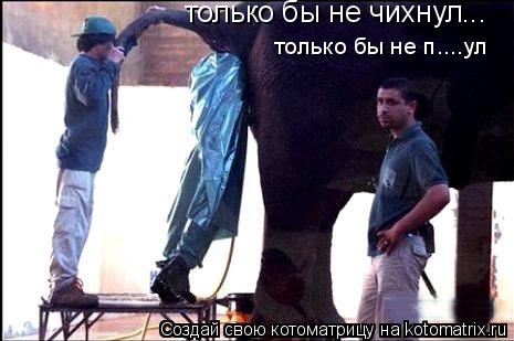 только бы не чихнул... только бы не п....ул... Котоматрица: только бы не чихнул... только бы не п....ул