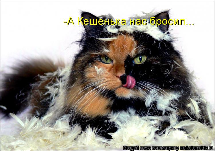 -А Кешенька нас бросил...... Котоматрица: -А Кешенька нас бросил...